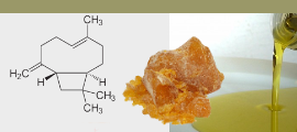 Herbal Benefit Copaiba
